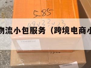 跨境电商物流小包服务（跨境电商小包寄递特点）