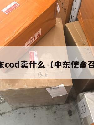 中东cod卖什么(中东使命召唤)
