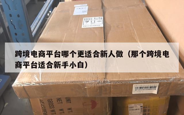 跨境电商平台哪个更适合新人做(那个跨境电商平台适合新手小白)
