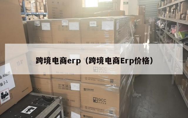 跨境电商erp(跨境电商Erp价格)