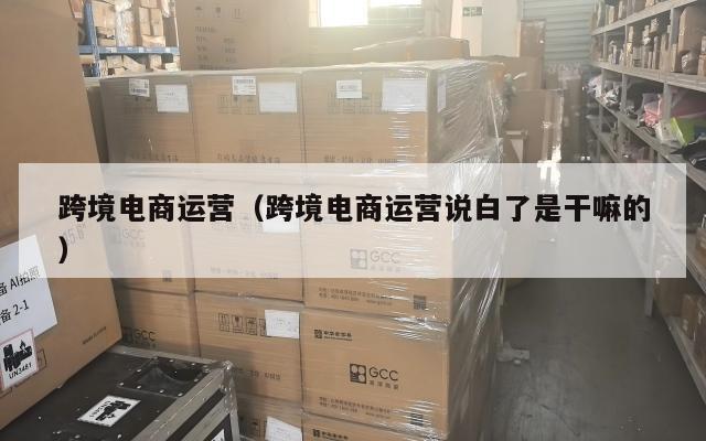 跨境电商运营(跨境电商运营说白了是干嘛的)