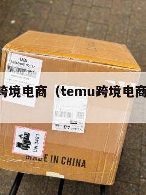 temu跨境电商(temu跨境电商官网入口)