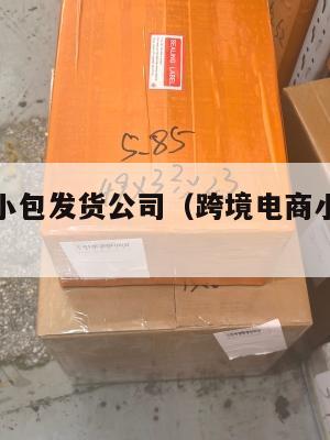 跨境电商小包发货公司(跨境电商小包寄递特点)