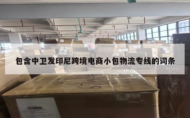 包含中卫发印尼跨境电商小包物流专线的词条