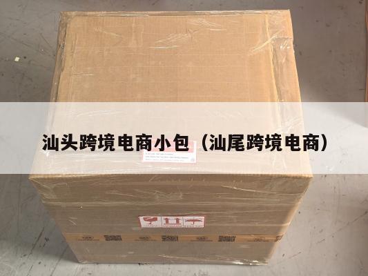 汕头跨境电商小包(汕尾跨境电商)