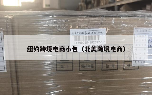 纽约跨境电商小包(北美跨境电商)