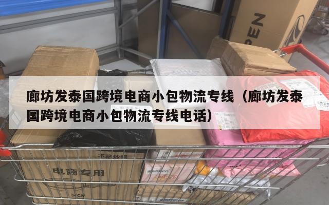 廊坊发泰国跨境电商小包物流专线(廊坊发泰国跨境电商小包物流专线电话)