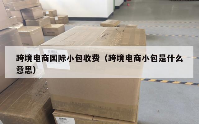 跨境电商国际小包收费(跨境电商小包是什么意思)