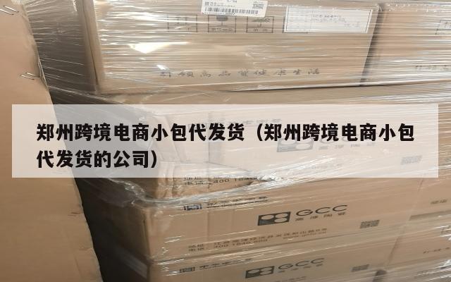 郑州跨境电商小包代发货(郑州跨境电商小包代发货的公司)