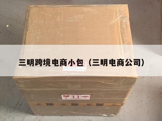 三明跨境电商小包(三明电商公司)