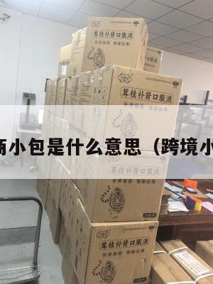 跨境电商小包是什么意思(跨境小包价格)