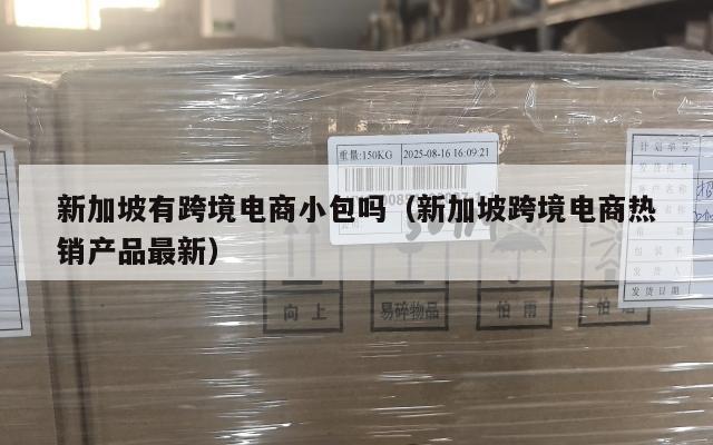 新加坡有跨境电商小包吗(新加坡跨境电商热销产品最新)