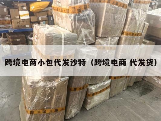 跨境电商小包代发沙特(跨境电商 代发货)