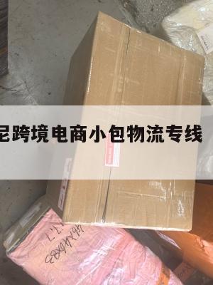 滁州发印尼跨境电商小包物流专线(滁州寄快递)