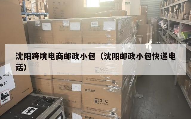 沈阳跨境电商邮政小包(沈阳邮政小包快递电话)