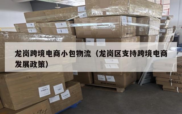 龙岗跨境电商小包物流(龙岗区支持跨境电商发展政策)