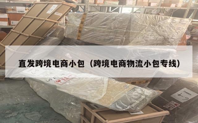 直发跨境电商小包(跨境电商物流小包专线)