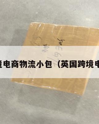 英国跨境电商物流小包(英国跨境电商平台)