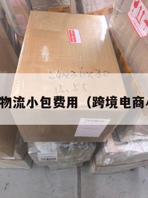 跨境电商物流小包费用(跨境电商小件物流)