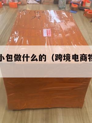 跨境电商小包做什么的(跨境电商物流小包专线)