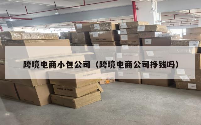跨境电商小包公司(跨境电商公司挣钱吗)