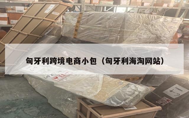 匈牙利跨境电商小包(匈牙利海淘网站)