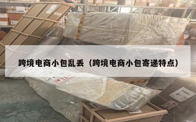跨境电商小包乱丢(跨境电商小包寄递特点)