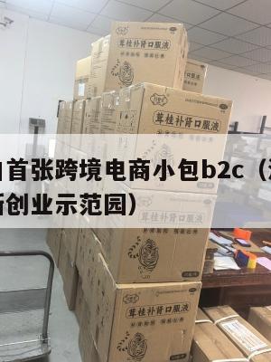 海南海口首张跨境电商小包b2c(海口跨境电商创新创业示范园)