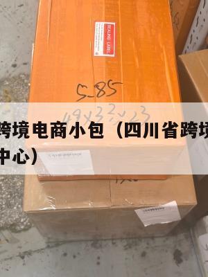 四川国际跨境电商小包(四川省跨境电子商务运营孵化中心)