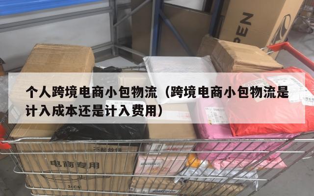 个人跨境电商小包物流(跨境电商小包物流是计入成本还是计入费用)