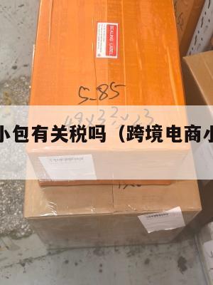 跨境电商小包有关税吗(跨境电商小包寄递特点)