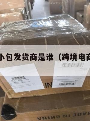 跨境电商小包发货商是谁(跨境电商小包做什么的)