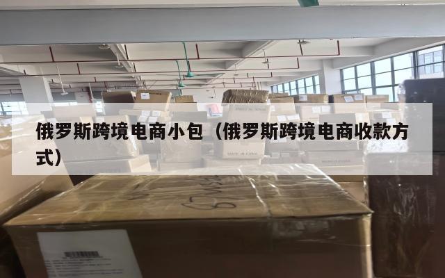 俄罗斯跨境电商小包(俄罗斯跨境电商收款方式)