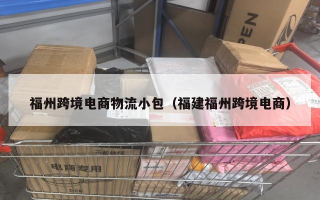 福州跨境电商物流小包(福建福州跨境电商)