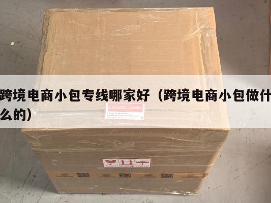 跨境电商小包专线哪家好(跨境电商小包做什么的)
