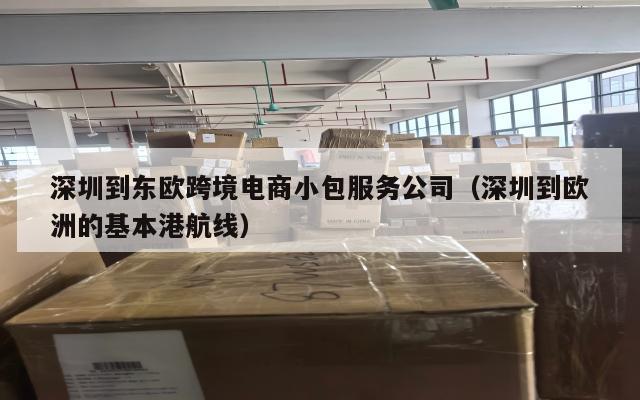 深圳到东欧跨境电商小包服务公司(深圳到欧洲的基本港航线)