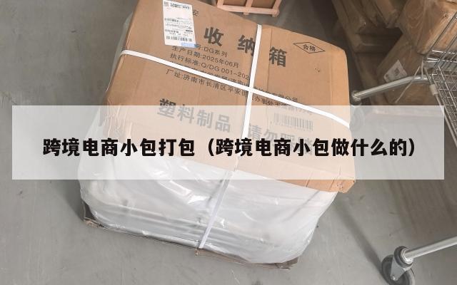 跨境电商小包打包(跨境电商小包做什么的)