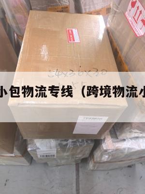 跨境电商小包物流专线(跨境物流小包有哪些)