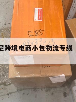 龙岩发印尼跨境电商小包物流专线(龙岩快递)
