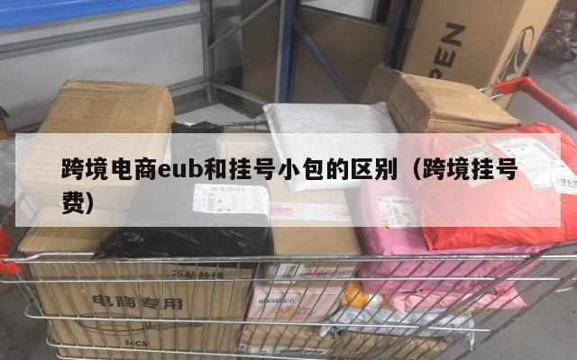 跨境电商eub和挂号小包的区别(跨境挂号费)