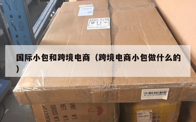 国际小包和跨境电商(跨境电商小包做什么的)