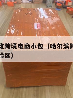 哈尔滨邮政跨境电商小包(哈尔滨跨境电子商务综合试验区)