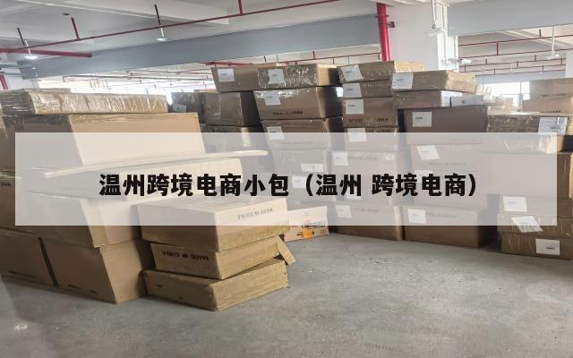 温州跨境电商小包(温州 跨境电商)