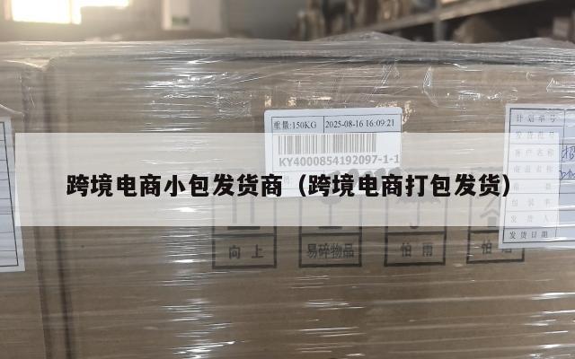 跨境电商小包发货商(跨境电商打包发货)