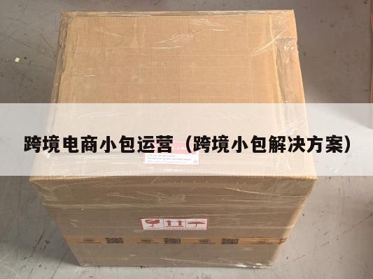跨境电商小包运营(跨境小包解决方案)