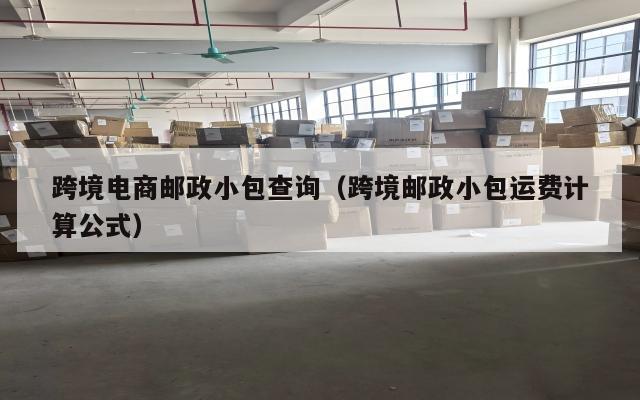 跨境电商邮政小包查询(跨境邮政小包运费计算公式)