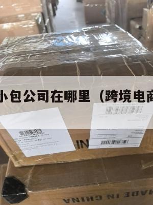 跨境电商小包公司在哪里(跨境电商物流小包专线)