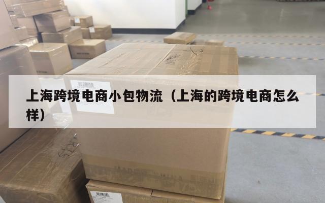 上海跨境电商小包物流(上海的跨境电商怎么样)