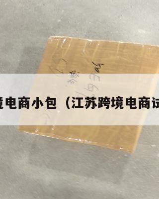 江苏跨境电商小包(江苏跨境电商试点城市)