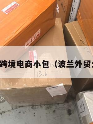 波兰跨境电商小包(波兰外贸公司)